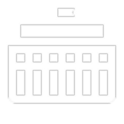 government
